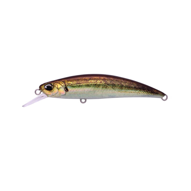 Воблер DUO Spearhead Ryuki 70S #ANA0488 Real Aji