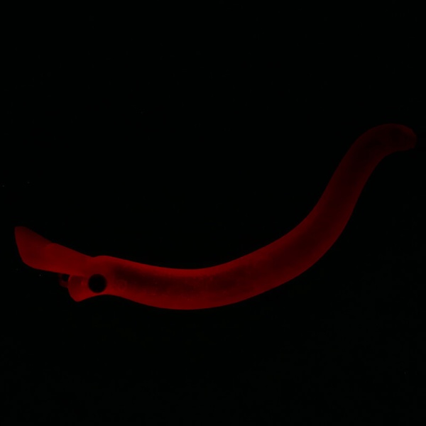 Воблер Daiwa Presso Nyoro Clazy 57S #Ored RG