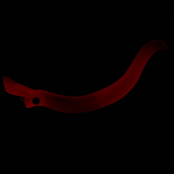 Воблер Daiwa Presso Nyoro Clazy 57S #Full Red Glow